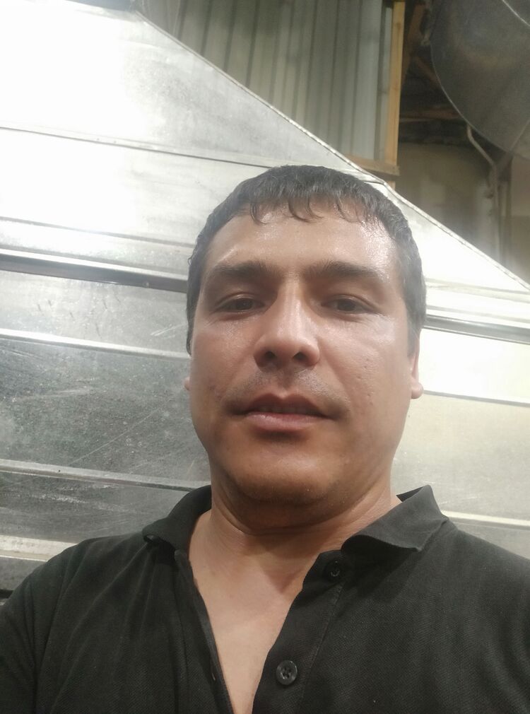  23636975  , 52 ,    