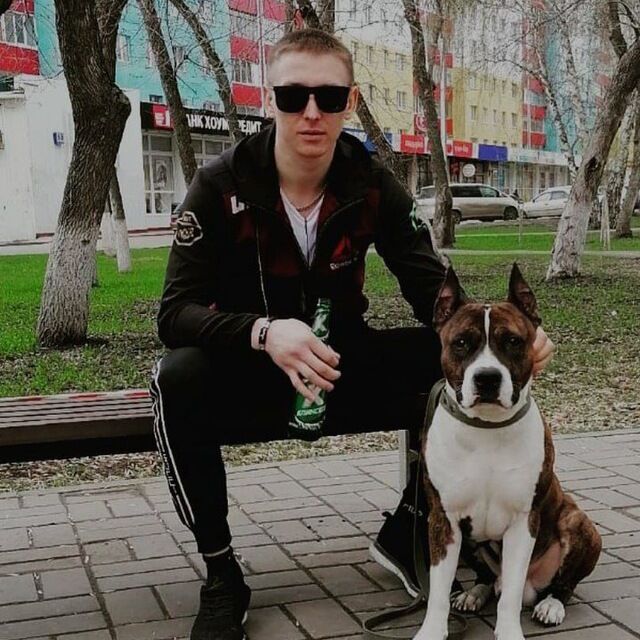 ���� 37071535 ������� ���������, 36 ���, ���� ���������� � �������