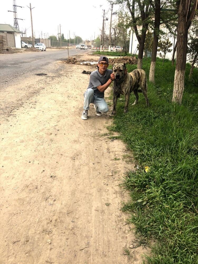 ���� 24384335 ������� ����, 29 ���, ���� ���������� � ������