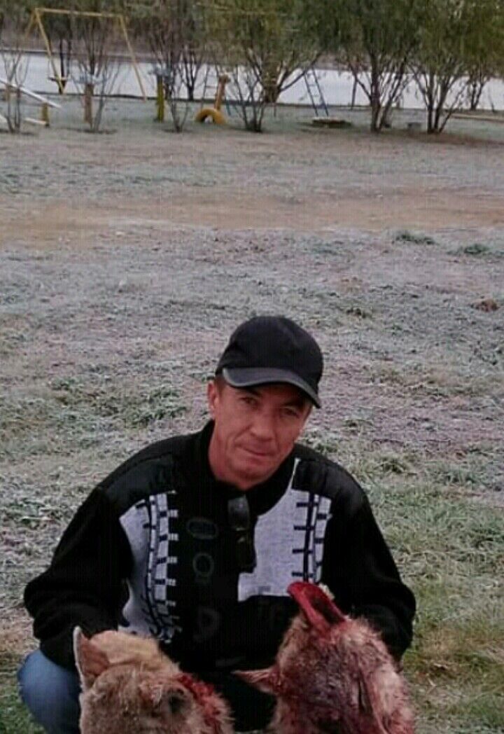  25393925  , 53 ,    