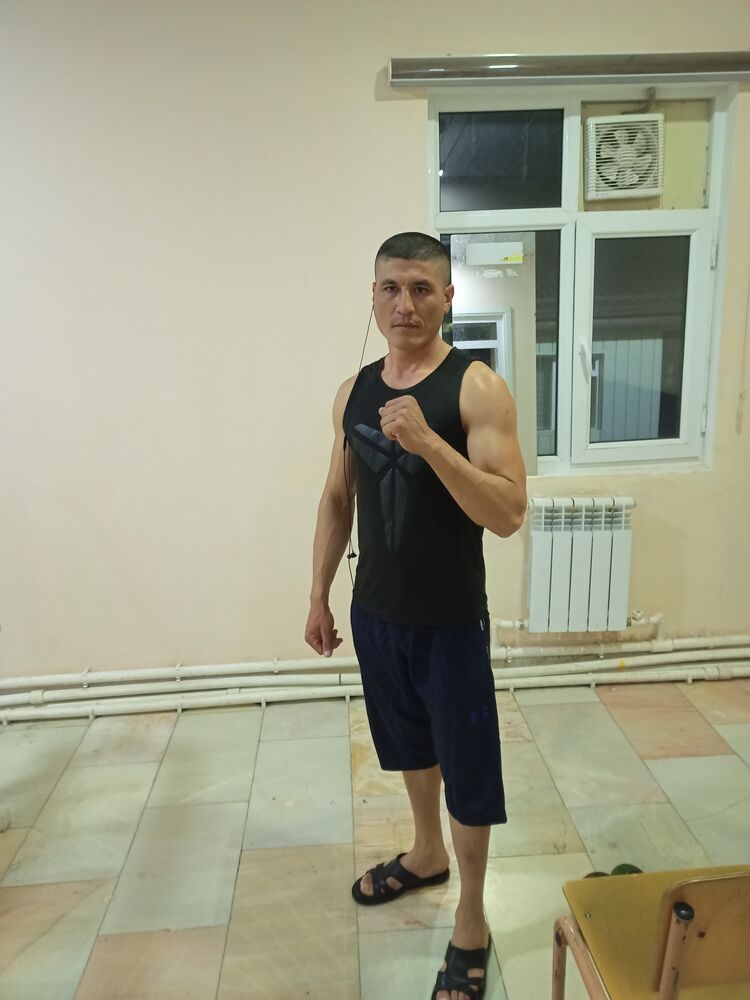  24301495  , 31 ,    