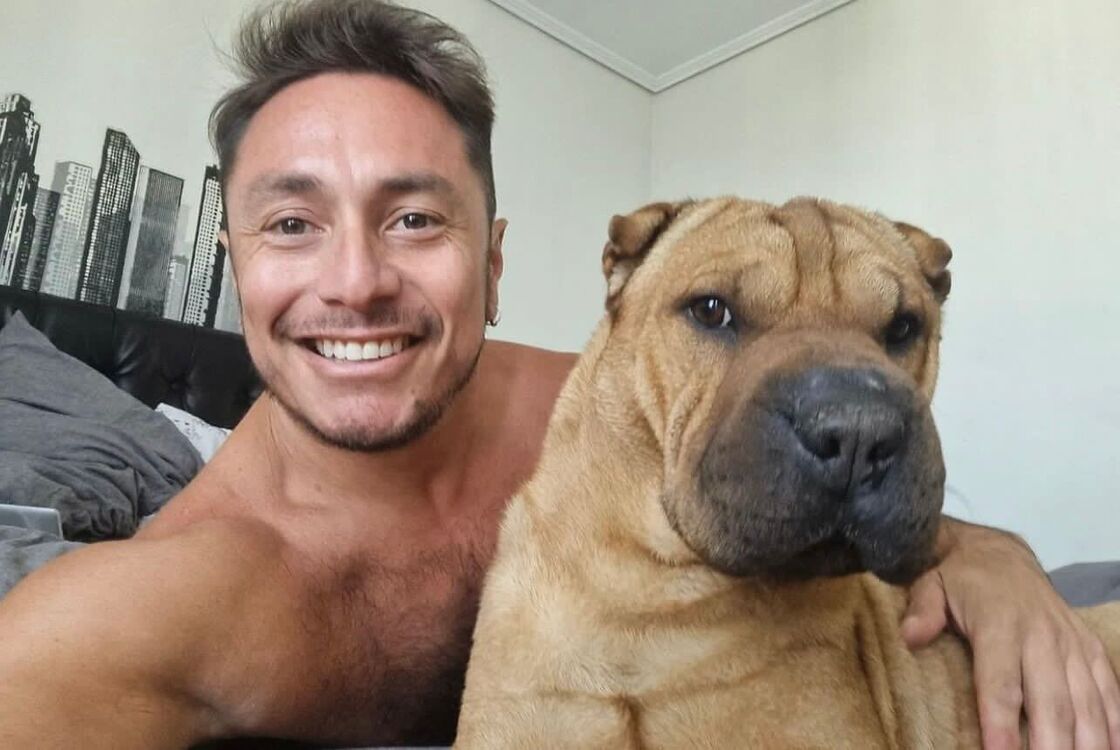 ���������� ������, ���� ������� ���������, 43 ����, ������������ ��� ����� � ���������, c�������� ���������