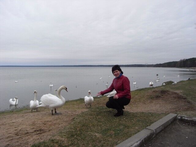 ���� 50858885 ������� ��������, 57 ���, ���� ���������� � ������