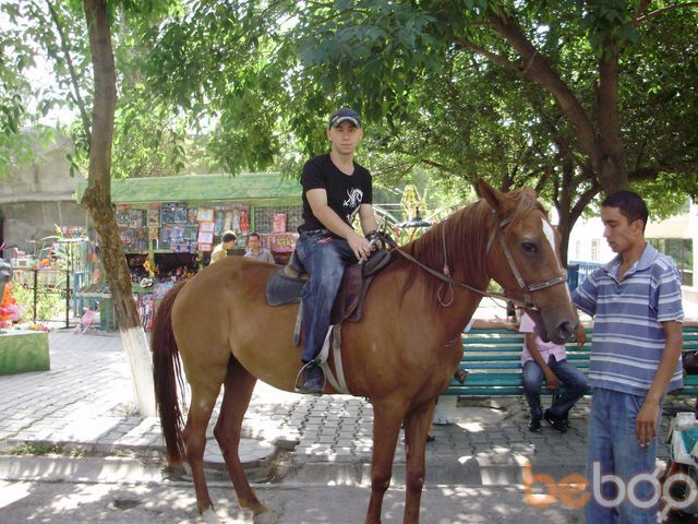  ,   Andy, 34 ,     , c 