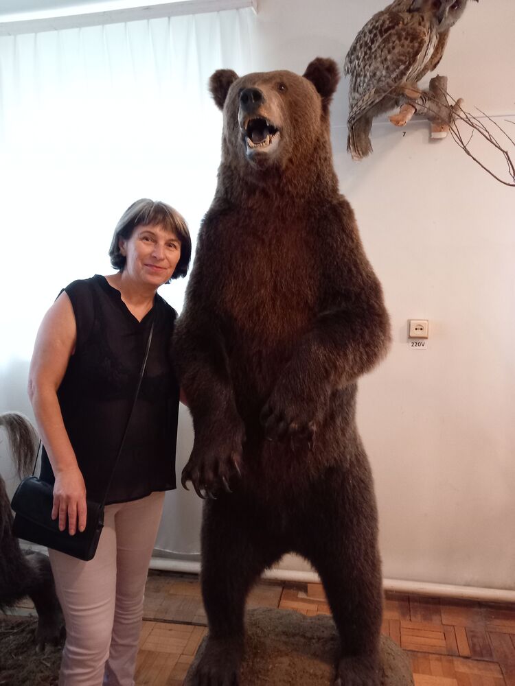  ,   , 60 ,   