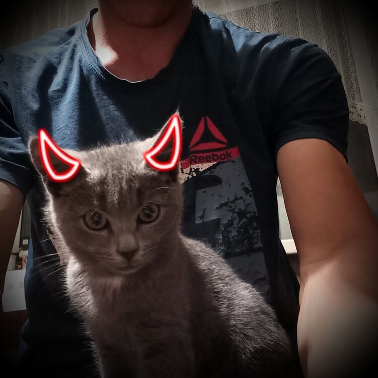 ���� 33732905 ������� Ne Vazhno, 29 ���, ���� ���������� � ������