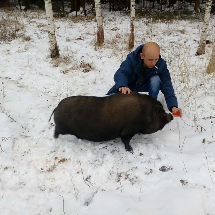 ���� 18158785 ������� ����, 46 ���, ���� ���������� � ������