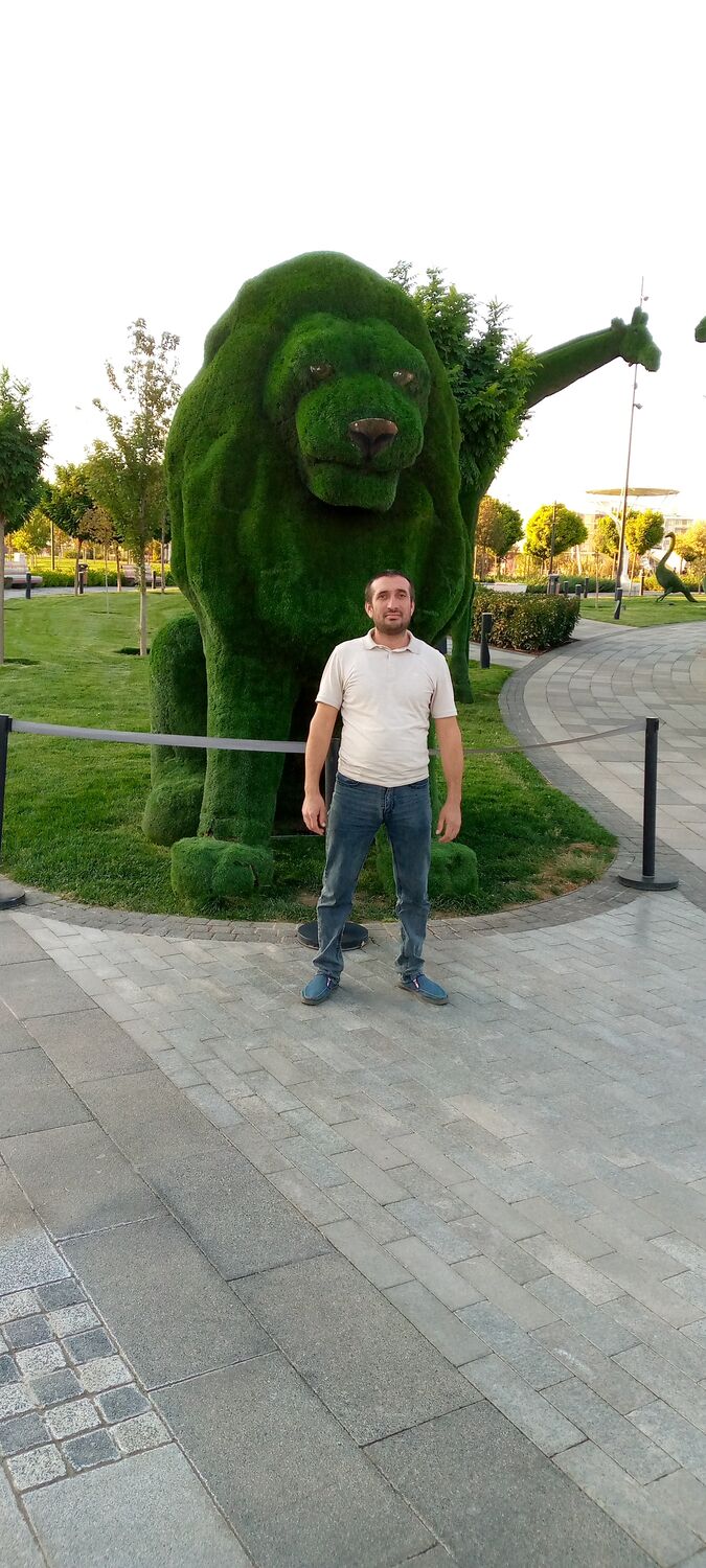 ���� 33621035 ������� ������, 41 ���, ���� ���������� � ������