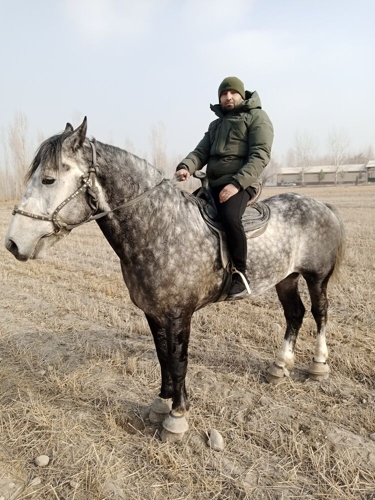 ���������� �����-���������, ���� ������� ���, 35 ���, ������������ ��� ������, ����� � ���������, c�������� ���������