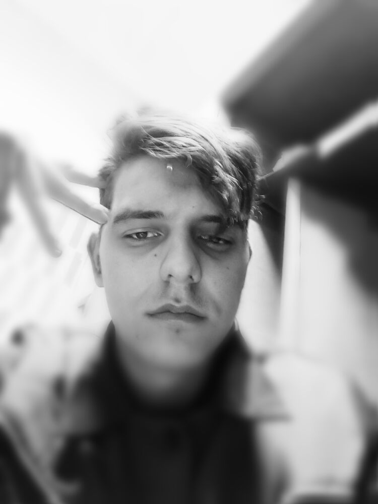 44131425  , 20 ,    
