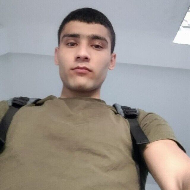  38838005  , 31 ,    