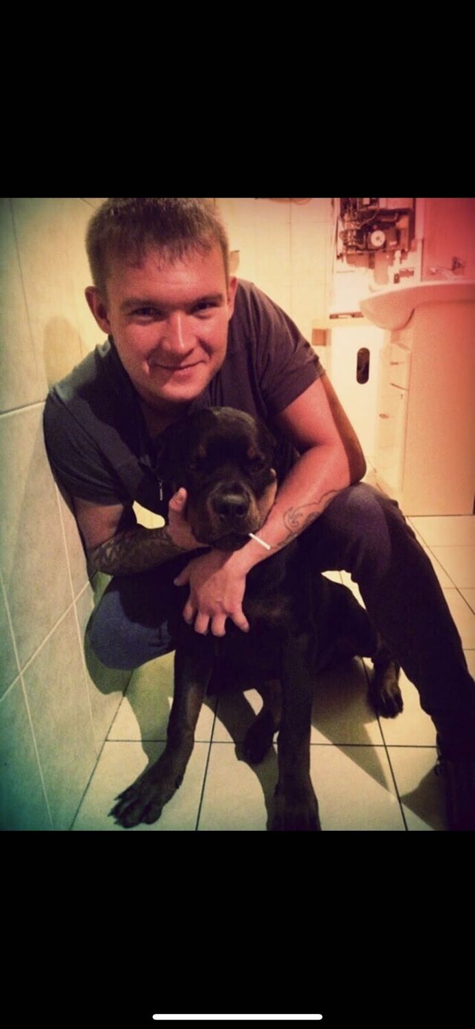 ���� 25239585 ������� ������, 33 ����, ���� ���������� � �������