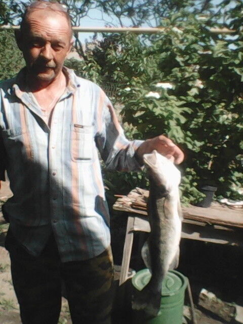 ,   , 65 ,   ,   , c 