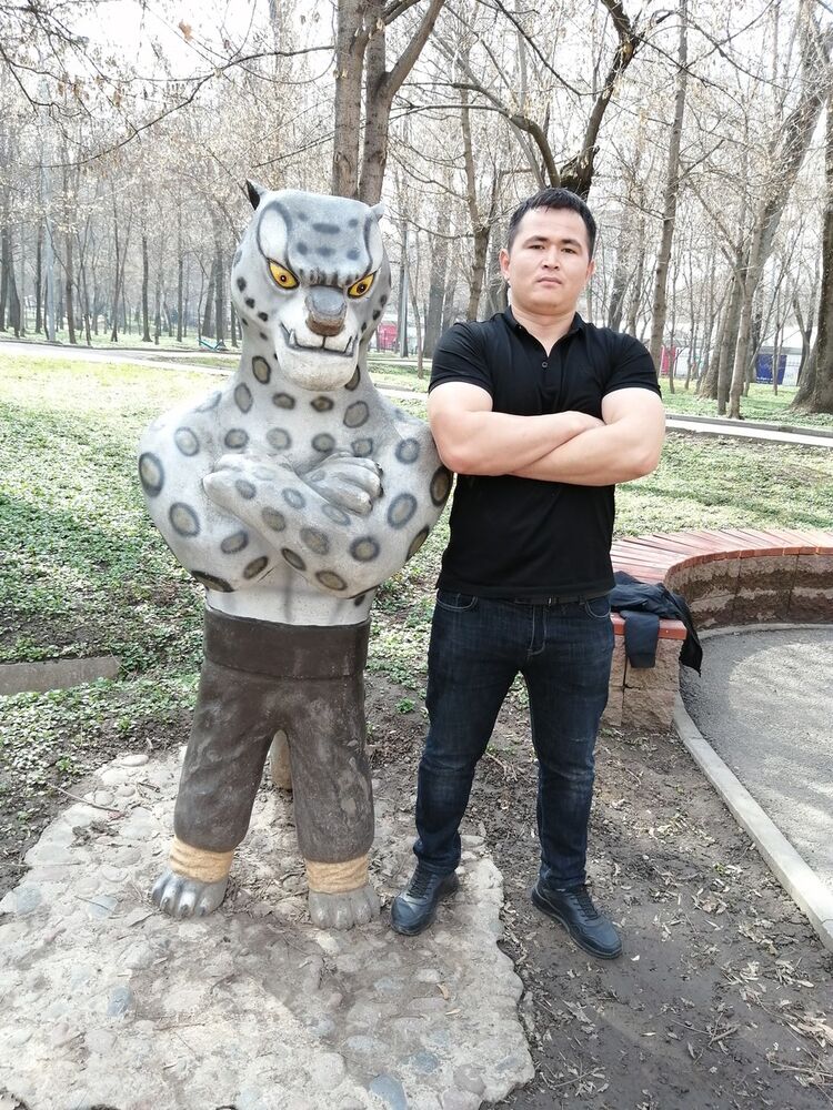 ���� 19447195 ������� ������, 31 ���, ���� ���������� � ������