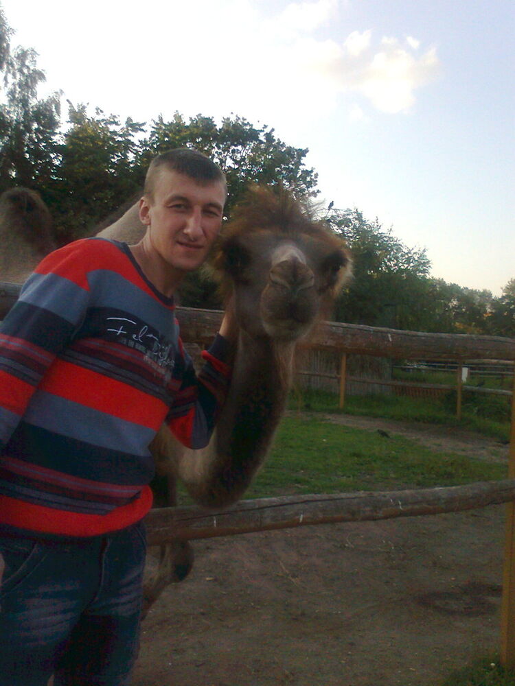 ���������� �����, ���� ������� ���������, 44 ����, ������������ ��� ������