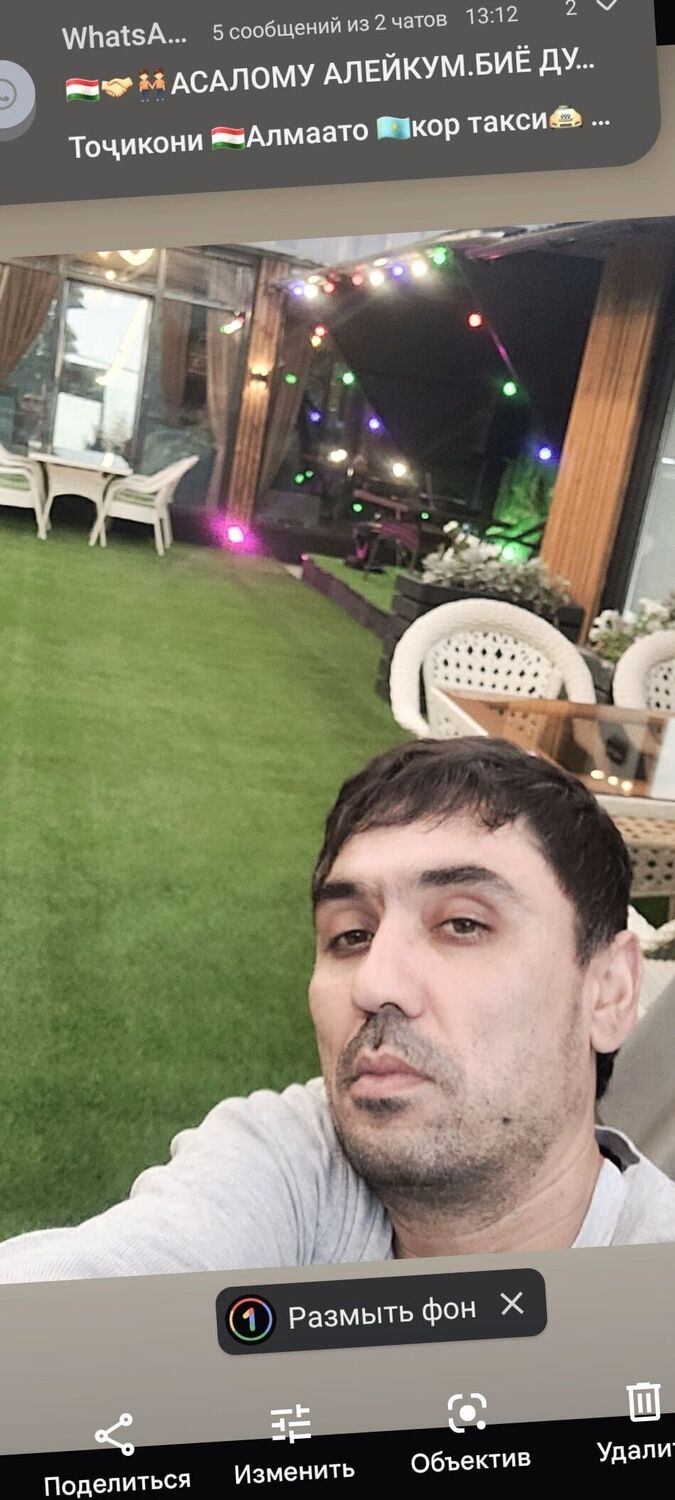  44576335  , 47 ,    