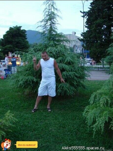  -,   , 46 ,   ,   , c 