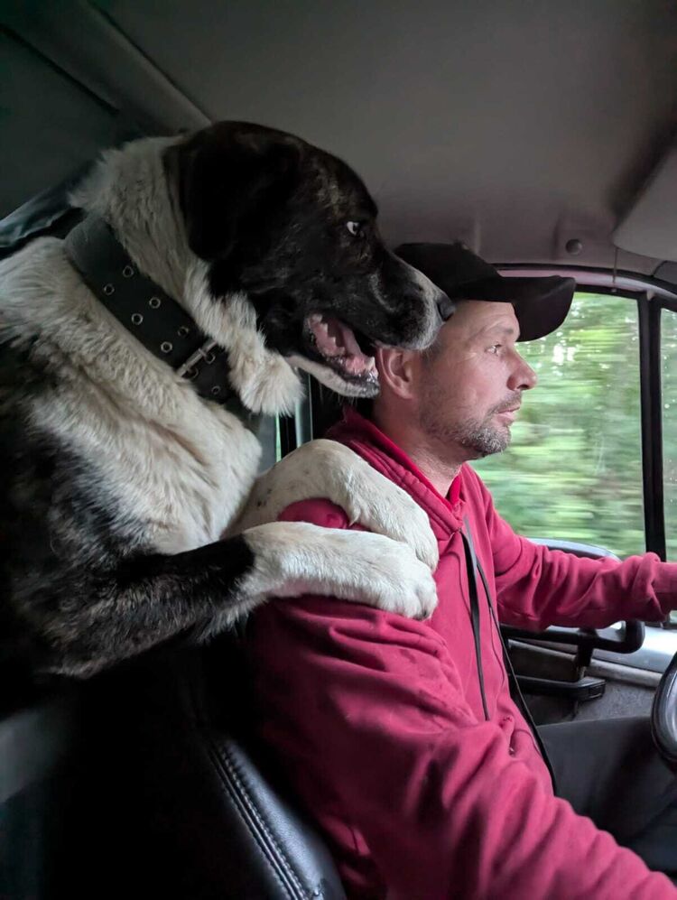 ���������� �����-���������, ���� ������� ����, 27 ���, ������������ ��� ������, ����� � ���������