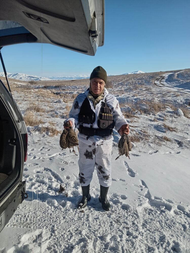 ���������� ������, ���� ������� �����, 56 ���, ������������ ��� ������, ����� � ���������, c�������� ���������