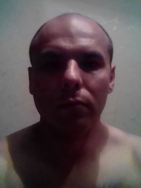  14671205  , 40 ,    