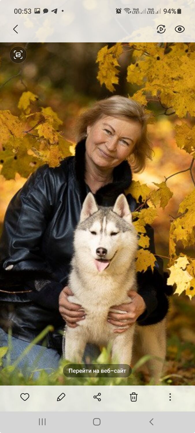  28323525  Olga, 58 ,    -