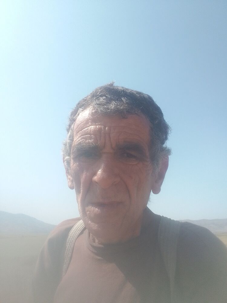  36847975  , 59 ,    