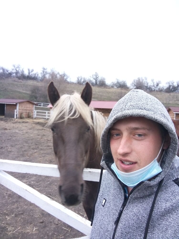 ���� 23446445 ������� ������, 29 ���, ���� ���������� � �������