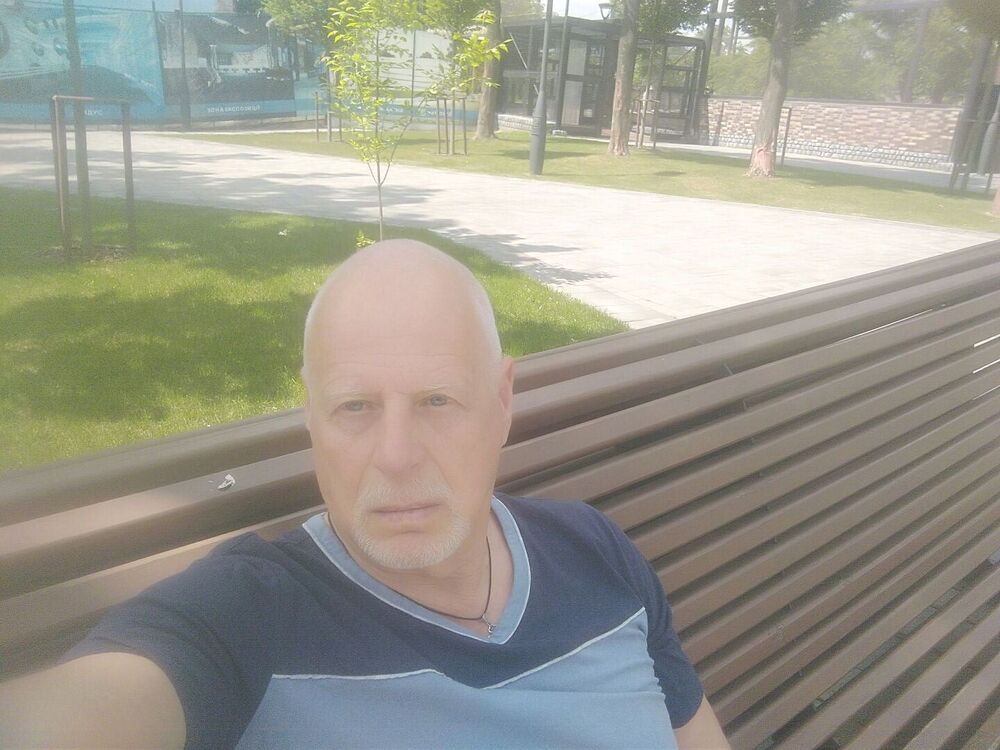  43275175  , 65 ,    