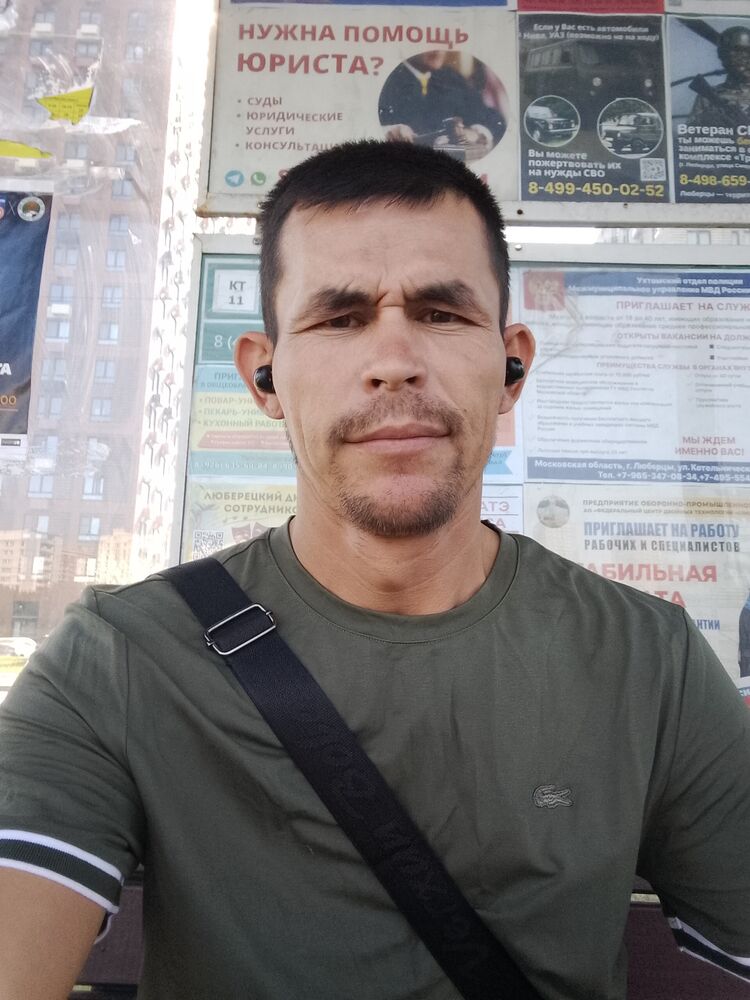  53377475  , 29 ,    