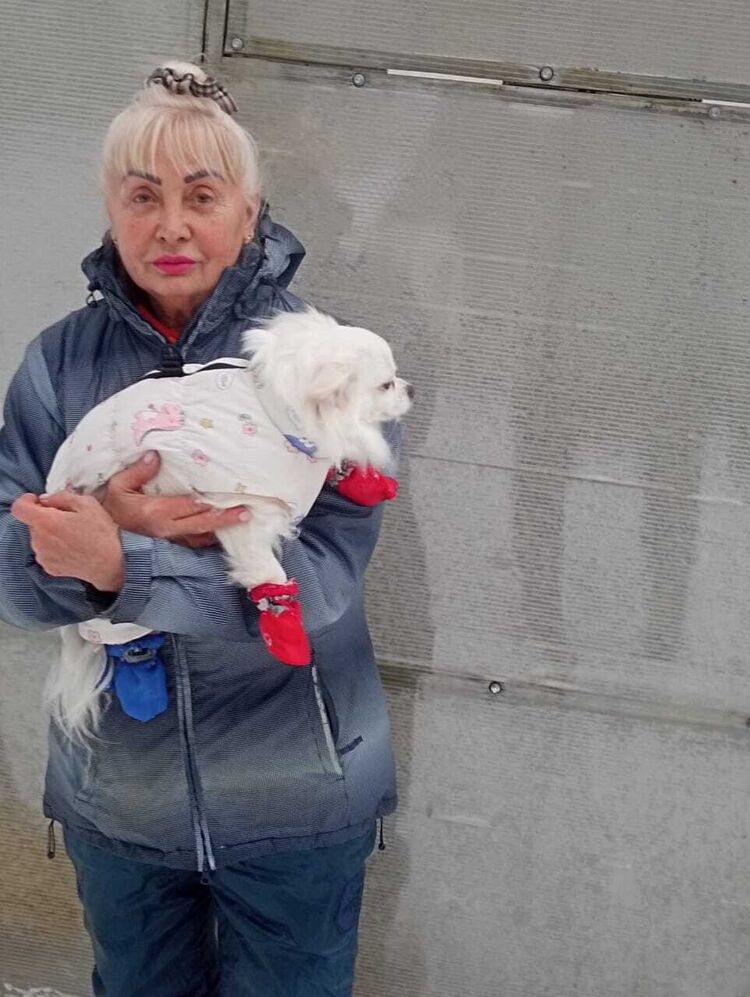 ���������� ������, ���� ������� ����, 60 ���, ������������ 