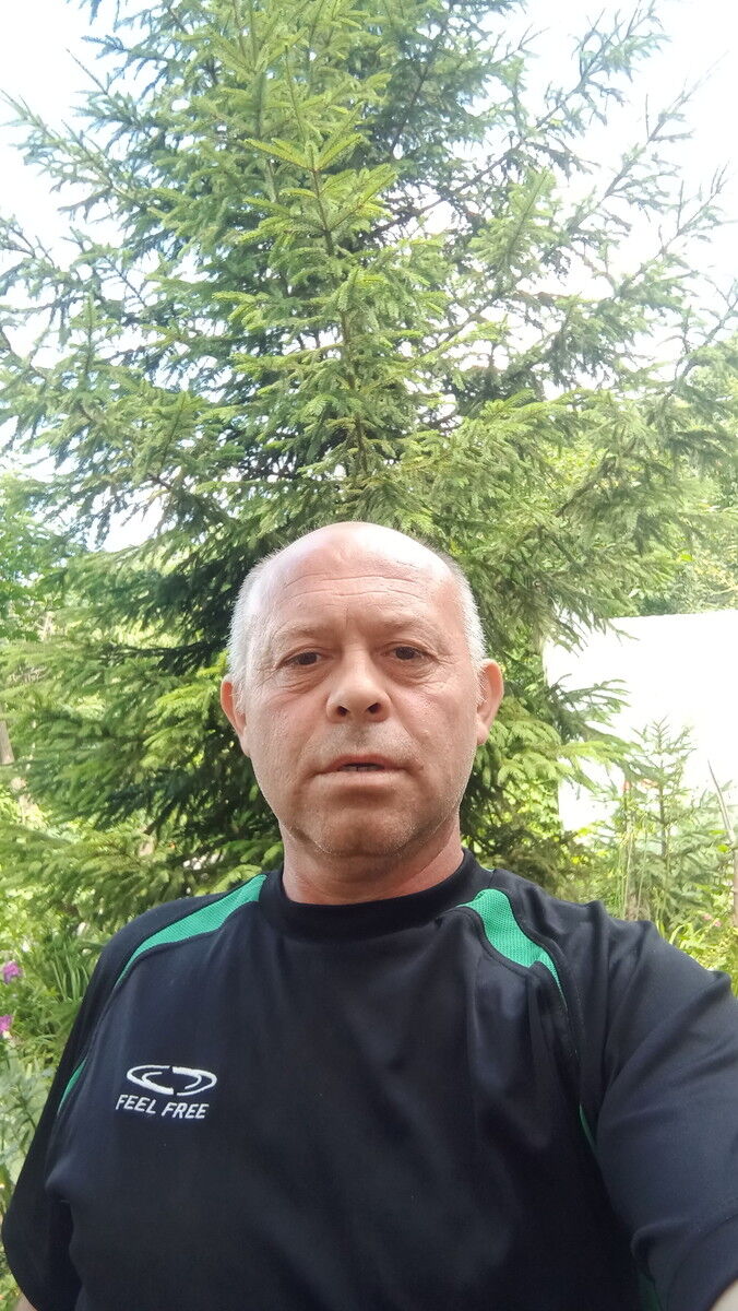  19037705  , 51 ,    