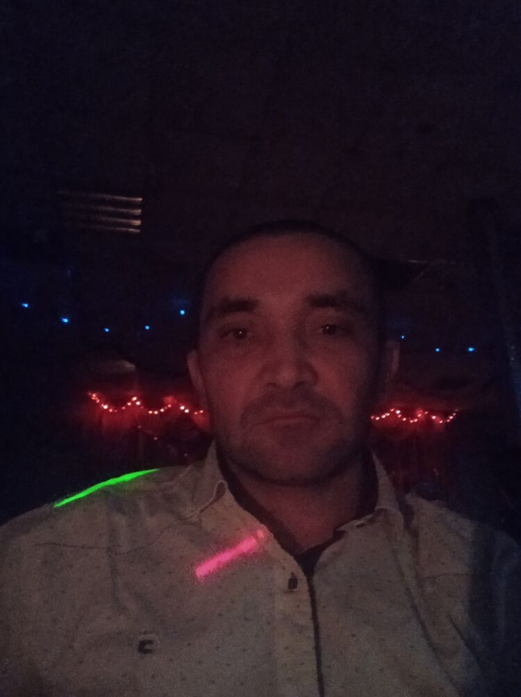  50316795  , 32 ,     