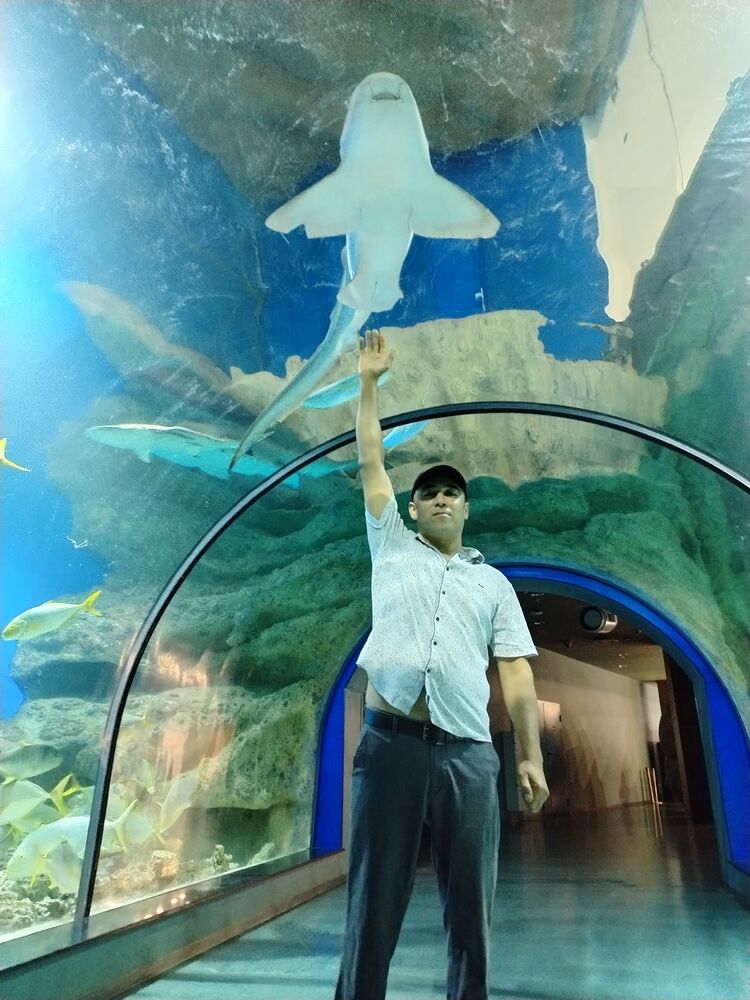 ���������� ������, ���� ������� M�����, 40 ���, ������������ ��� ������, ����� � ���������