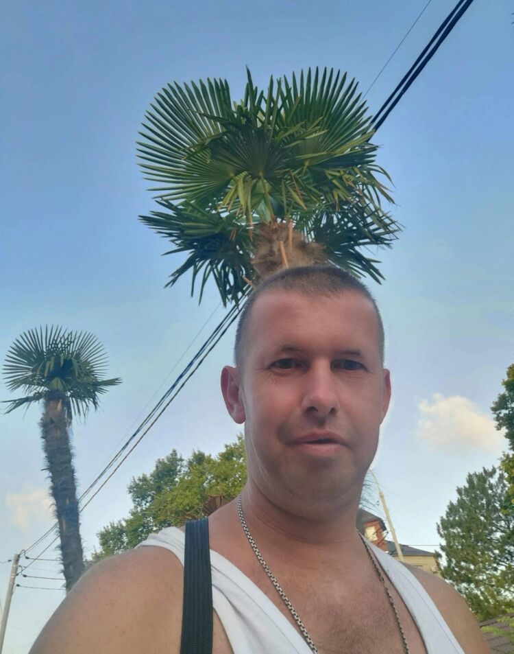 ���������� ���������, ���� ������� ���������, 42 ����, ������������ ��� ������, ����� � ���������, c�������� ���������, ���������