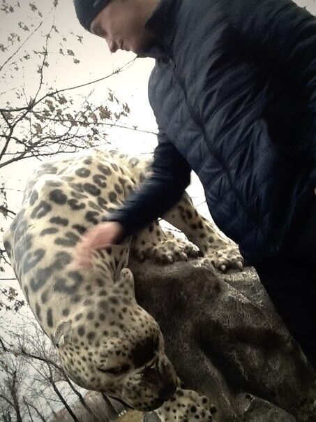 ���������� ����������, ���� ������� ������, 36 ���, ������������ ��� ������, ����� � ���������, c�������� ���������