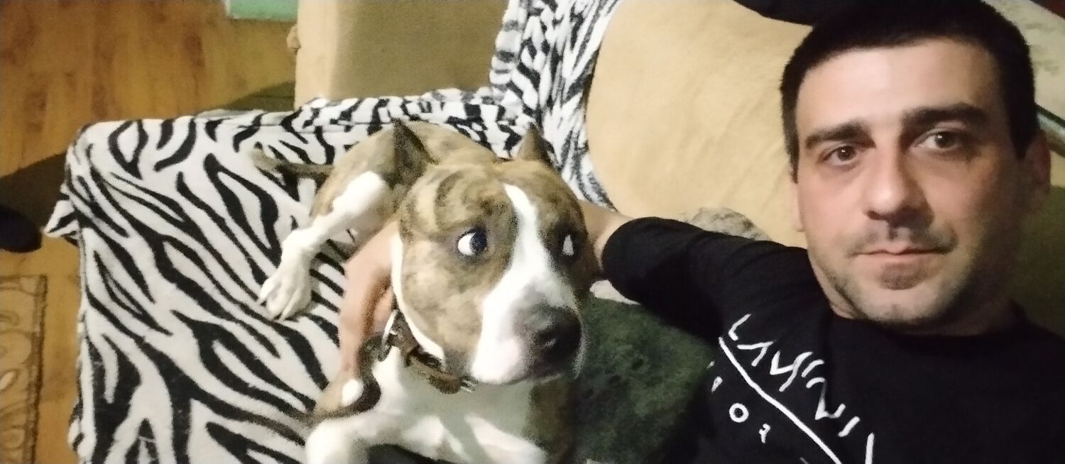 ���������� ������, ���� ������� ����, 36 ���, ������������ ��� ������, ����� � ���������, c�������� ���������, ���������