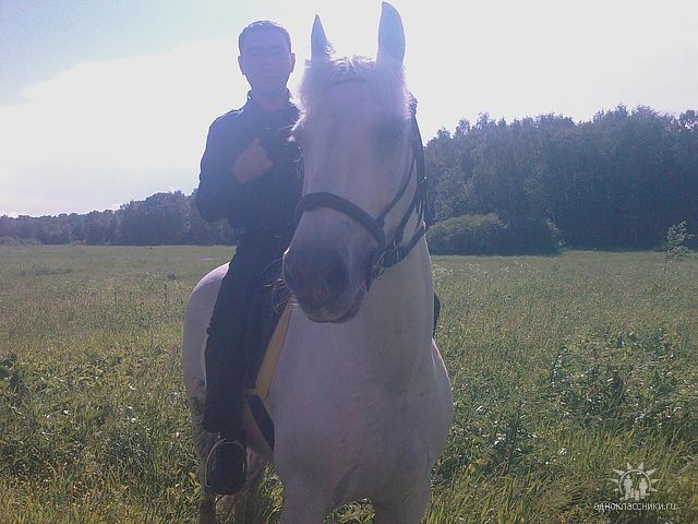 ���������� ������-��-����, ���� ������� �����, 44 ����, ������������ ��� ������, ����� � ���������, c�������� ���������