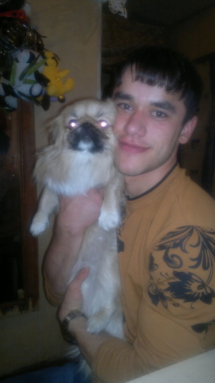 ���� 25841465 ������� ��������, 33 ����, ���� ���������� � ������