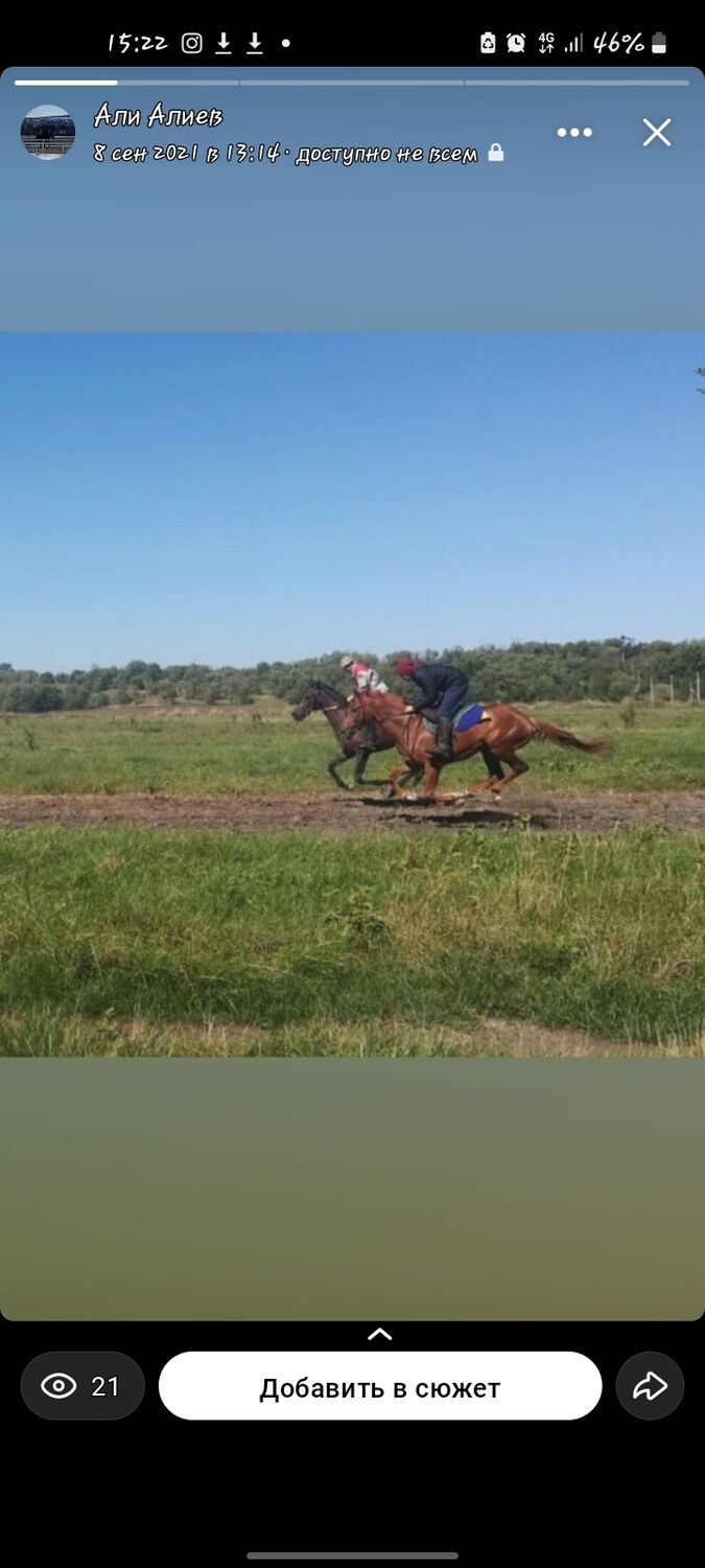 ���������� ������-��-����, ���� ����� �����, 21 ���, ������������ ��� ������, ����� � ���������, c�������� ���������