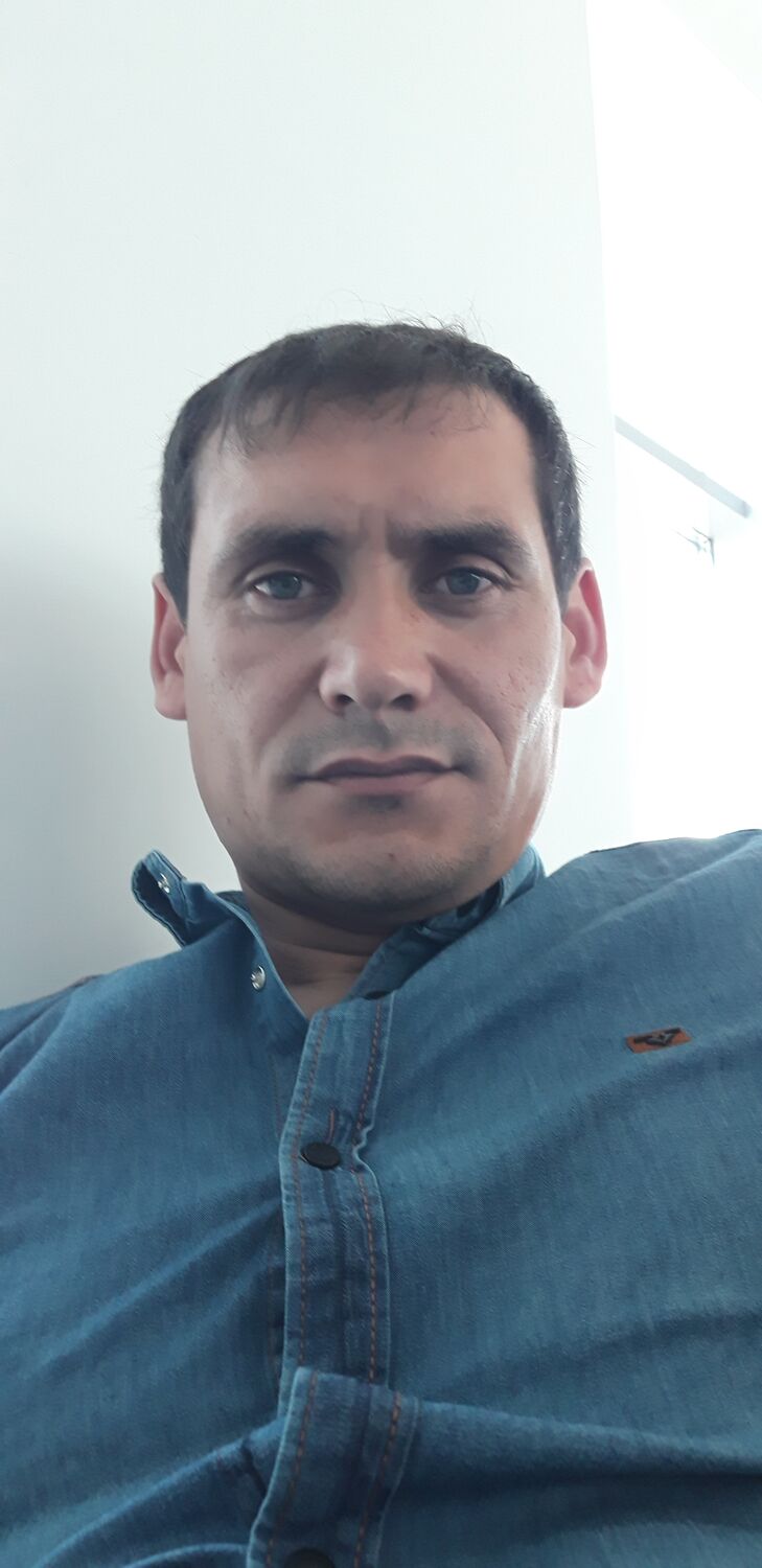  42287585  , 36 ,    