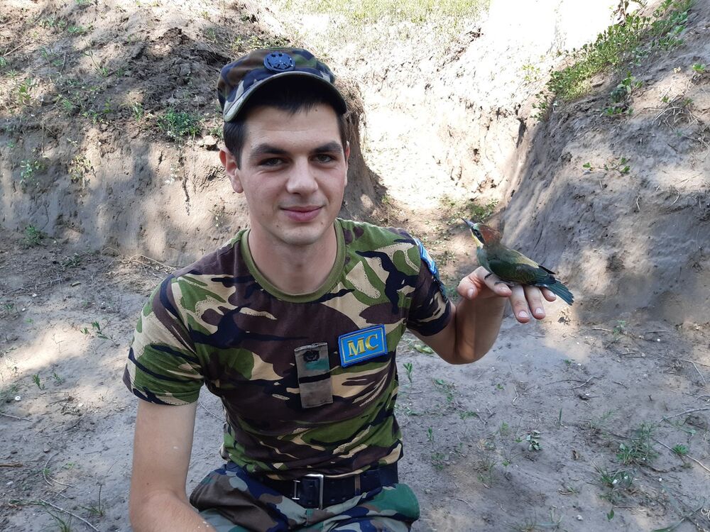 ���� 18995555 ������� ������, 31 ���, ���� ���������� � ��������