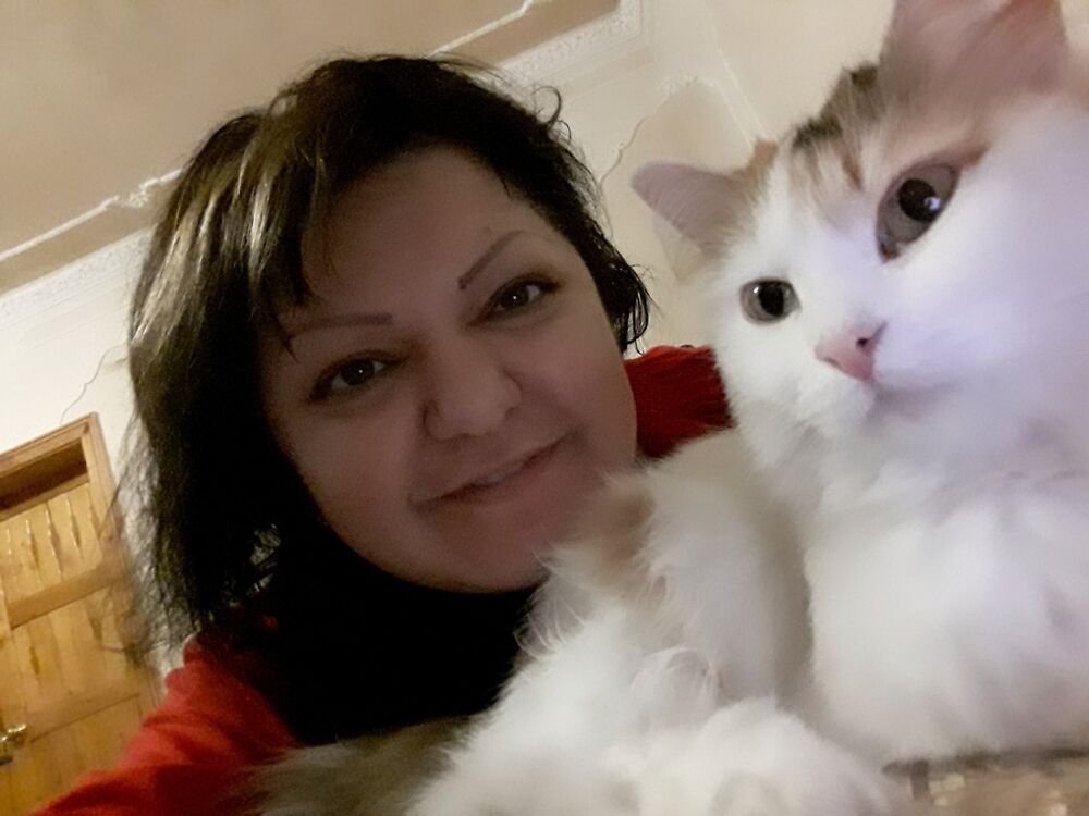  ,   , 43 ,  