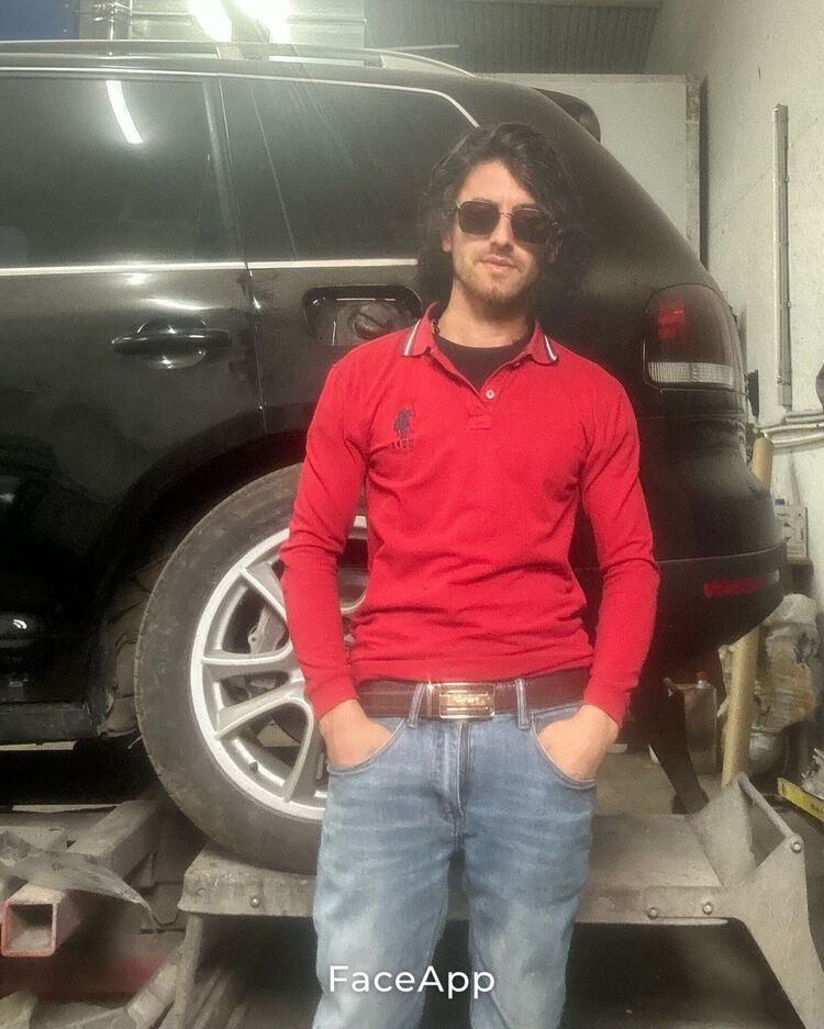  53005295  , 29 ,    