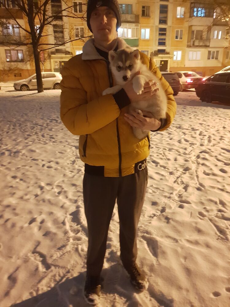 ���������� ������, ���� ������� VoLoDiA, 33 ����, ������������ ��� ���������