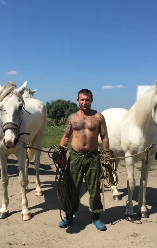 ���� 41449035 ������� ������, 29 ���, ���� ���������� � ������������