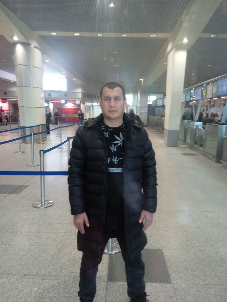 ���� 31098685 ������� ����, 38 ���, ���� ���������� � ������