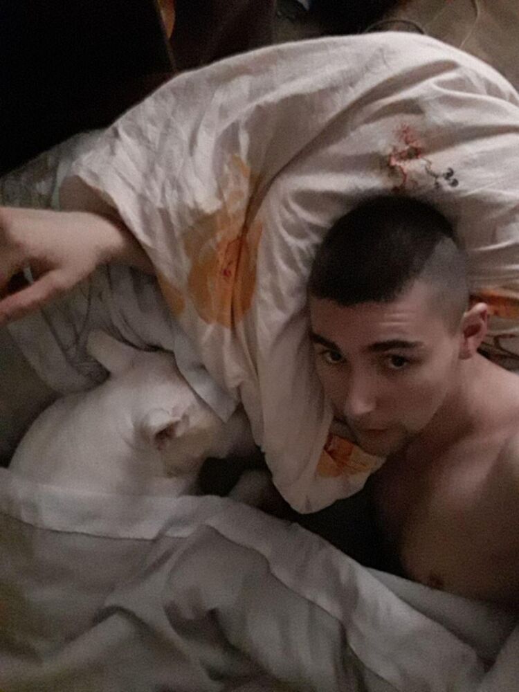 ���������� ������, ���� ������� �����, 33 ����, ������������ ��� ������, ����� � ���������, c�������� ���������