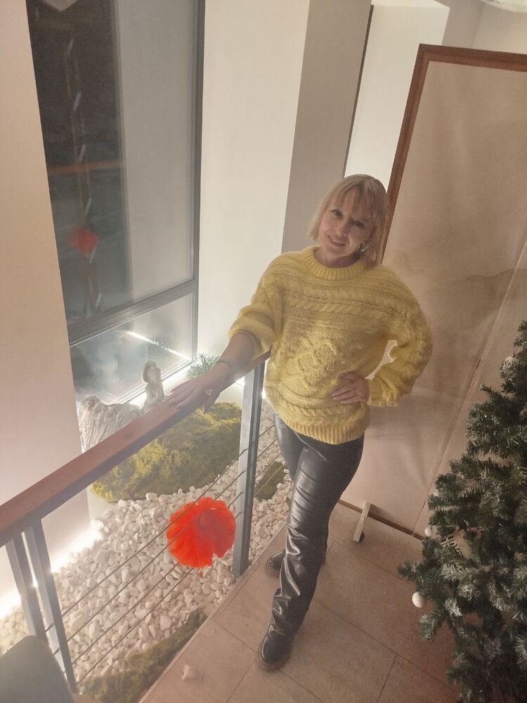 ���� 55693985 ������� �������, 40 ���, ���� ���������� � ������