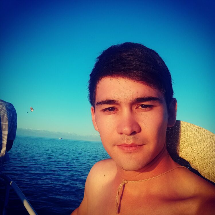  23541175  Zema, 32 ,    