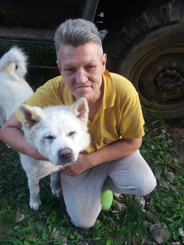 ���������� ������, ���� ������� ������, 55 ���, ������������ ��� c�������� ���������